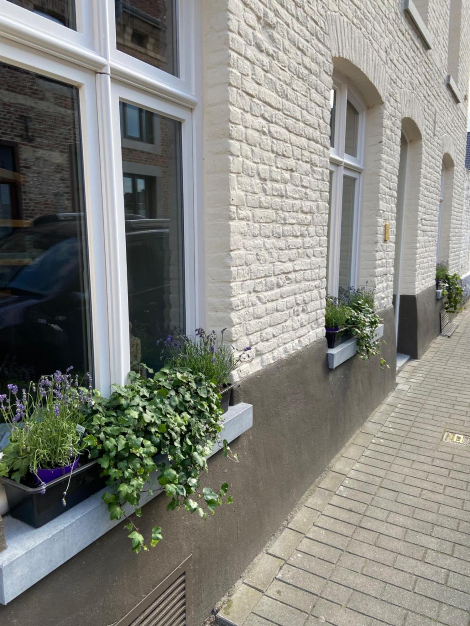 Begijnhofstudio'S Tongeren Exteriér fotografie